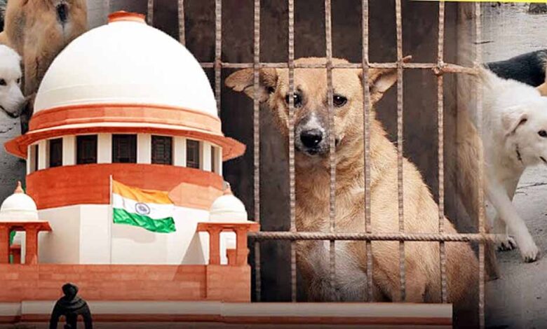 बच्चे-मर-रहे-हैं…-सुप्रीम-कोर्ट-में-डॉग-लवर्स-पर-भड़के-sg-तुषार-मेहता