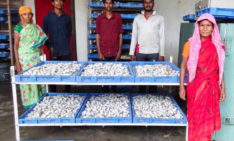 रेशम-की-डोर-से-बुनी-आत्मनिर्भरता-–-दंतेवाड़ा-की-महिलाओं-को-मिली-नई-पहचान