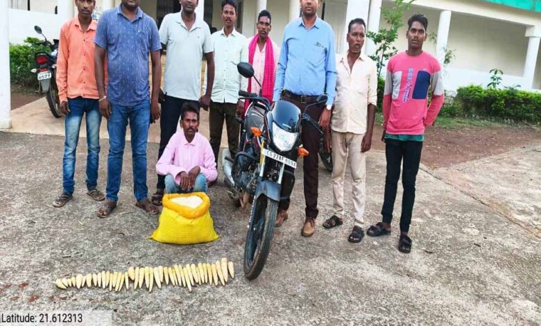 रायपुर-:-बांस-करील-के-अवैध-परिवहन-पर-कार्रवाई-आरोपी-गिरफ्तार