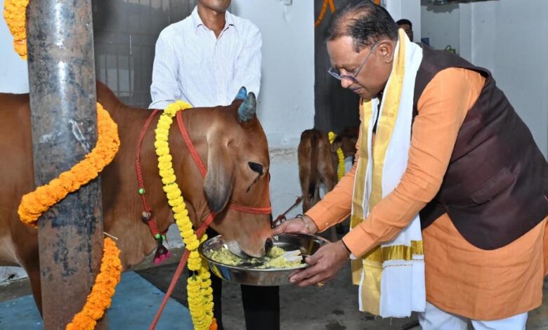 रायपुर-:-गोवर्धन-पूजा-के-अवसर-पर-मुख्यमंत्री-ने-किया-गौपूजन,-प्रदेशवासियों-की-सुख-समृद्धि-की-कामना-की