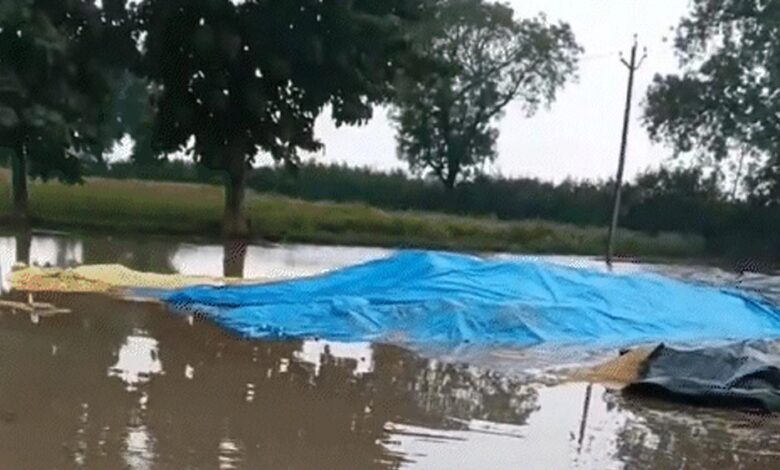तवा-डैम-का-जलस्तर-बढ़ा,-3-गेट-खोले;-19,778-क्यूसेक-पानी-छोड़ा,-गुना-श्योपुर-में-फसल-प्रभावित