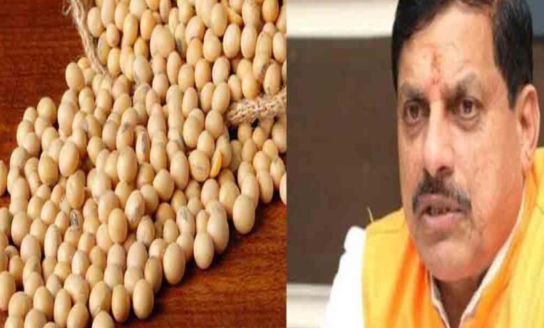 सोयाबीन-किसानों-के-लिए-राहत:-मोहन-सरकार-देगी-प्रति-क्विंटल-1,300-रुपये-का-भावांतर