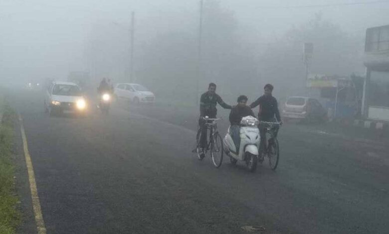 एमपी-में-ठंड-का-कहर:-16-नवंबर-तक-चलेगी-कड़ाके-की-cold-wave,-16-जिलों-में-अलर्ट-जारी