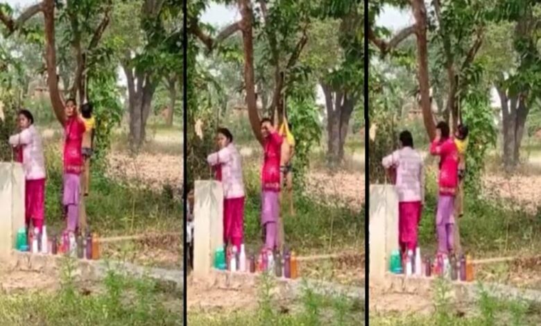 सूरजपुर:-स्कूल-में-मासूम-बच्चे-को-टी-शर्ट-से-पेड़-पर-लटकाने-का-वीडियो-वायरल,-प्रशासन-में-खलबली