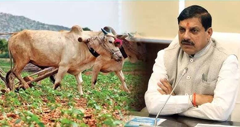 एक-बीघा-से-एक-लाख-रूपए-की-कमाई-करने-वाले-किसानों-को-किया-जाए-सम्मानित:-मुख्यमंत्री-डॉ.-यादव