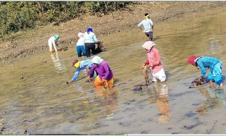 रायपुर-:-मुख्यमंत्री-विष्णु-देव-साय-के-प्रयास-से-छत्तीसगढ़-मखाना-बोर्ड-में-शामिल
