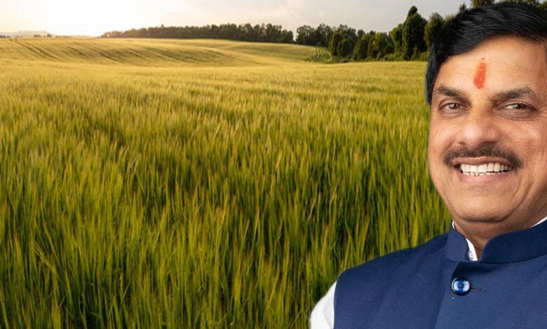 मोहन-सरकार-के-दो-साल:-मध्य-प्रदेश-में-खाद्यान्न-उत्पादन-में-रिकॉर्ड-55-लाख-टन-की-वृद्धि,-खेती-में-नया-कीर्तिमान