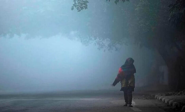 मध्यप्रदेश-में-बढ़ी-ठंड,-कई-जिलों-में-घना-कोहरा;-दिल्ली-रूट-की-ट्रेनें-5-घंटे-तक-लेट,-उड़ानों-पर-भी-असर