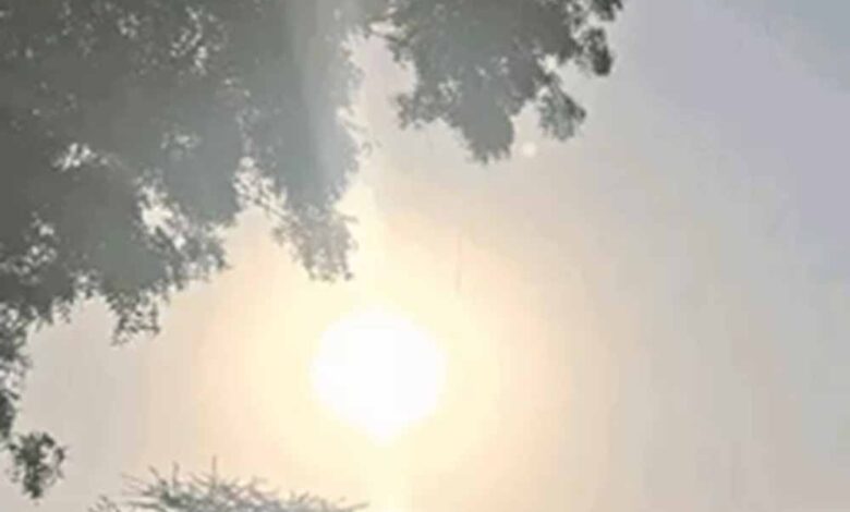 इंदौर-में-ठंड-का-कहर-बरकरार,-मामूली-राहत-के-बावजूद-शीतलहर-के-आसार