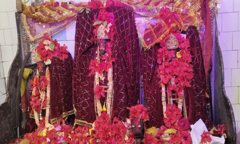 मां-बिरासिनी-धाम-बिलासपुर-में-मातारानी-के-दर्शन-के-लिए-दर्शनार्थियों-की-लगी-भीड़