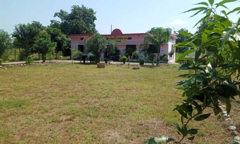 दुर्ग-को-मिलेगा-हरियाली-का-तोहफा:-2-करोड़-की-लागत-से-बनेंगे-4-नए-उद्यान