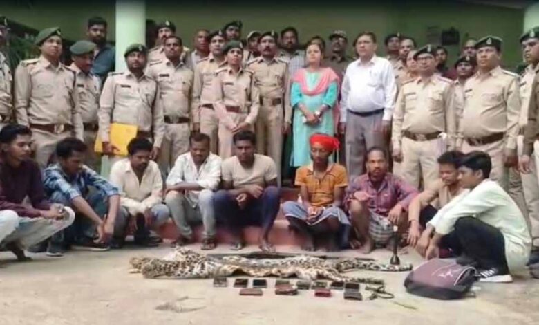 तेंदुए-की-खाल-की-तस्करी-पर-वन-विभाग-की-बड़ी-कार्रवाई,-9-आरोपी-गिरफ्तार