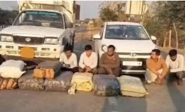 महासमुंद-में-बड़ा-ड्रग्स-ऑपरेशन:-डेढ़-करोड़-का-गांजा-जब्त,-5-तस्कर-गिरफ्तार