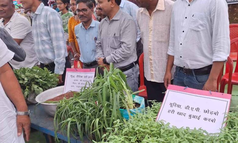 हरी-खाद-से-बदल-रही-खेती-की-तस्वीर:-कम-लागत,-बेहतर-मुनाफा-और-स्वस्थ-मिट्टी’
