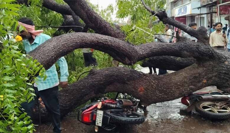 शिवपुरी-में-आंधी-का-कहर:-प्ले-ग्राउंड-की-बाउंड्री-गिरी,-5-दबे,-छत-से-गिरीं-महिला-व-युवती