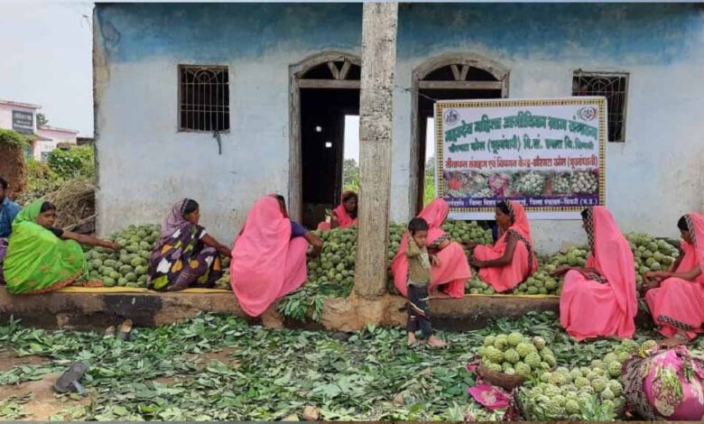 सीताफल-उत्पादन-एवं-प्रसंस्करण-से-महिला-स्व-सहायता-समूहों-की-आर्थिक-स्थिति-में-सुधार