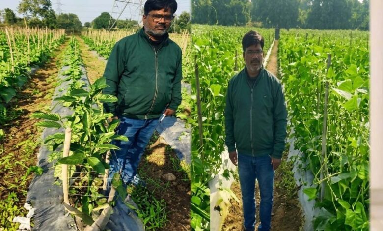उद्यानिकी-की-आधुनिक-तकनीकों-से-किसान-महेश-कश्यप-की-बदली-तकदीर