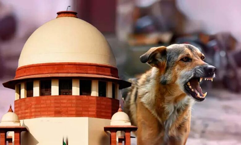 आवारा-कुत्तों-पर-sc-के-आदेश-से-बढ़े-सवाल,-क्या-शहरों-में-पर्याप्त-शेल्टर-मौजूद-हैं?